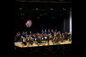 Pressemitteilung: Beste Auslastung seit Jahren 