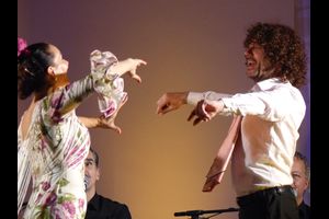 Flamenco 