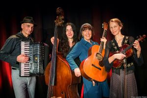 Schwaneninsel Sommer Open Air