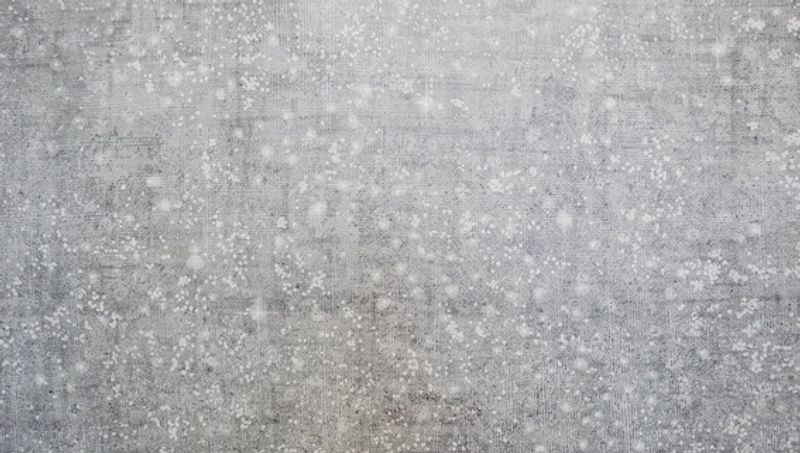 Myong-Hee Ki: Ohne Titel, 2021–fortlaufend