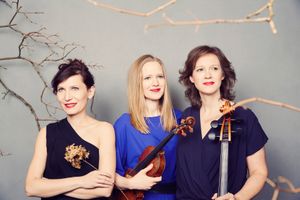 Brühler Schlosskonzerte | Haydn-Festival