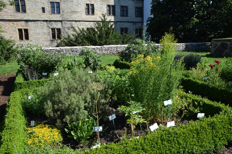 Kräutergarten des Kreismuseums Wewelsburg