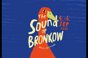 The Sound of Bronkow Music Festival