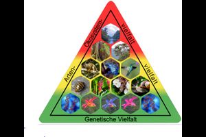 Biodiversität verstehen und priorisieren