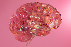 Sachbuchlesung mit Neurobiologin