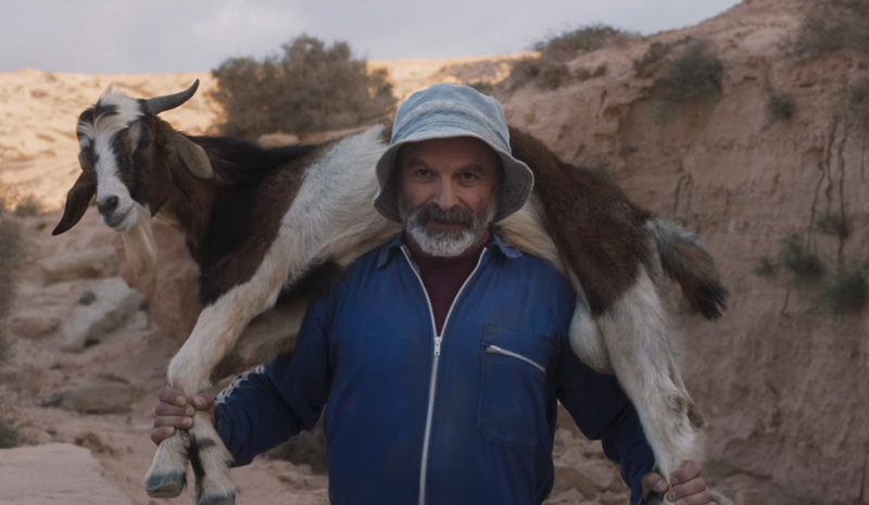Filmszene aus "Rendir los machos" von David Pantaleón