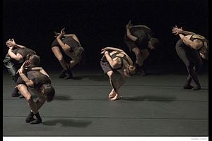 Compagnie Amala Dianor (FR) „The Falling Stardust“