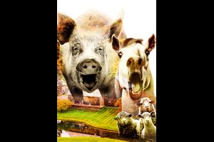 farm der tiere – das musical