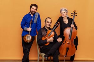 SeZeh – Konzert mit dem Bridges Kammerorchester