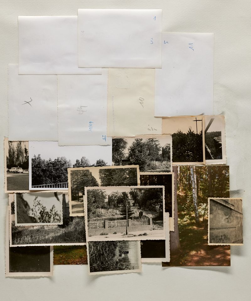 Daniela Duckwitz o. T. 2025 analoge Collage 387 x 345 mm