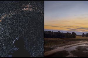 Vernissage: Hiroyuki Masuyama. Freundschaft mit Außerirdischen schließen.