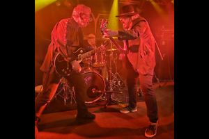 2. AMPFEST