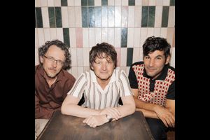 Bene Aperdannier Trio