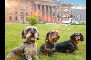 Veranstaltungen vom 21. bis 27. September 2020