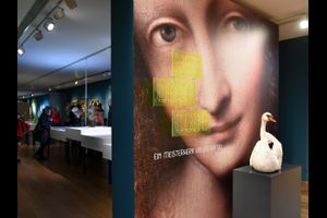 Veranstaltungen vom 11. bis 17. November 2019