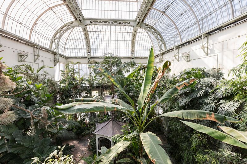 Großes Gewächshaus im Bergpark Wilhelmshöhe