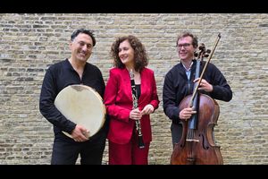 Multiphonics Festival: ensemble FisFüz