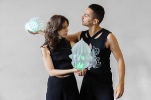 THE NEW SILICON VALLEY