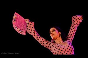 Tablao Flamenco