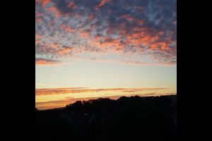 Blaue Stunde 25/26