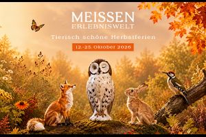 Tierisch kreativ: Herbstferien bei MEISSEN