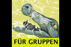 Der Billabongkönig