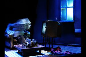 Figurentheater - Gäste - Abendprogramm