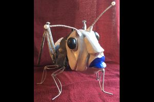 Otto, die kleine Spinne – Alter: 4 Jahre ± 1