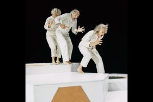 Die Biene im Kopf  [8+]