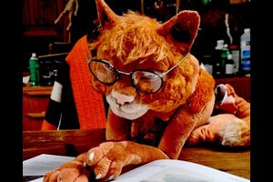 Menzel Schäfer Thieme Team zeigt: "Matou – Die Katze, die kein Mensch sein will"