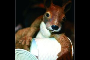 Herr Eichhorn und der erste Schnee