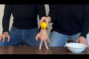 Nach Zitrone schmeckt die Welt