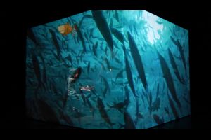 Meeresgeflüster - Bilder|Musik|Theater