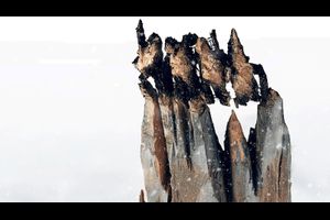 Tous sur la banquise