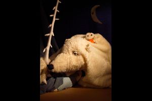 Der weiße und der schwarze Bär