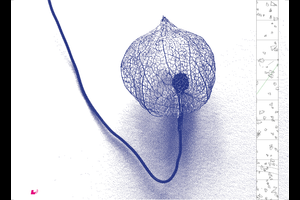 Ramboux-Kunstpreis der Stadt Trier