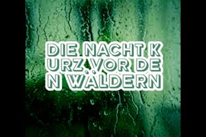 Die Nacht kurz vor den Wäldern