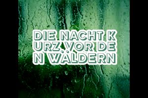 Die Nacht kurz vor den Wäldern