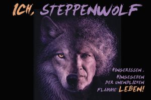 Ich, Steppenwolf