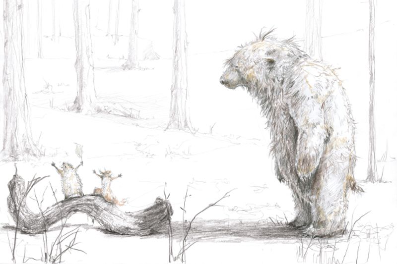 Illustration Sebastian Meschenmoser